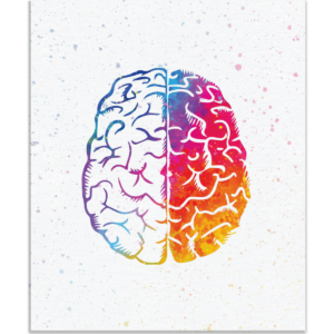 Half Watercolored Brain Anatomy Art