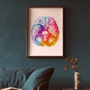 Brain's Basal View Abstract Anatomy Art