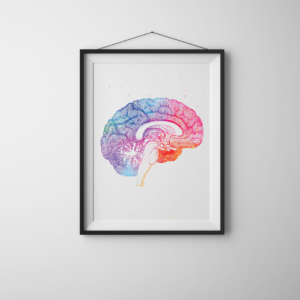 Brain's Lateral View Abstract Anatomy Art