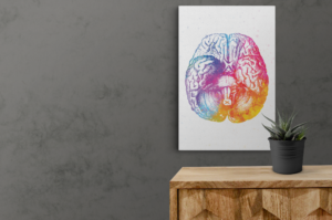 Brain's Basal view abstract anatomy art