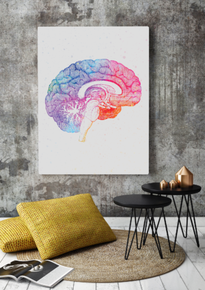 Brain's-Lateral-View-Abstract-Anatomy-Art