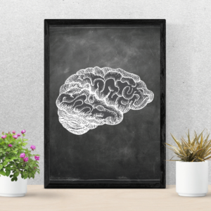 Chalkboard Side Brain Anatomy Art