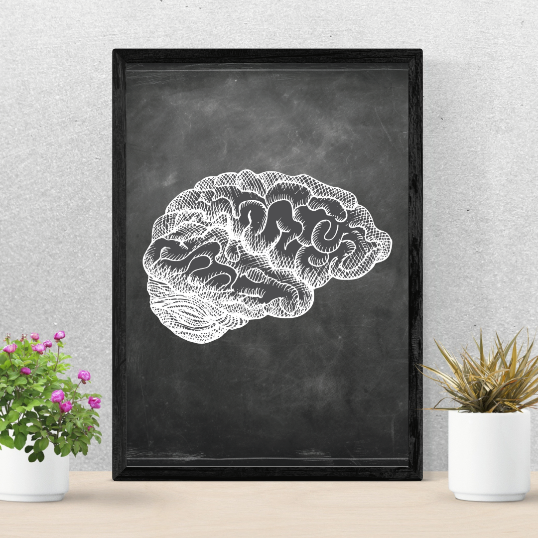 Chalkboard Side Brain Anatomy Art Medical Art Store