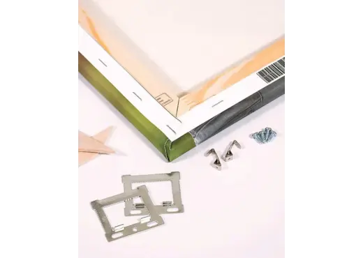 Canvas Hanging Kit